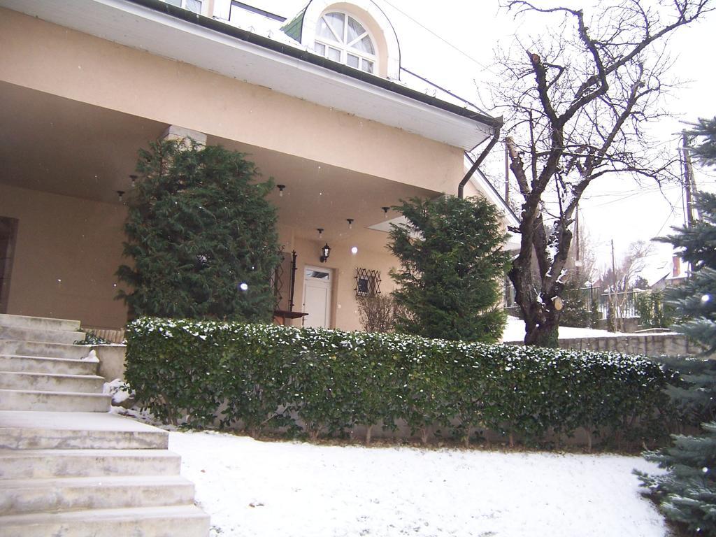 Villa Szekely Leányfalu Eksteriør bilde