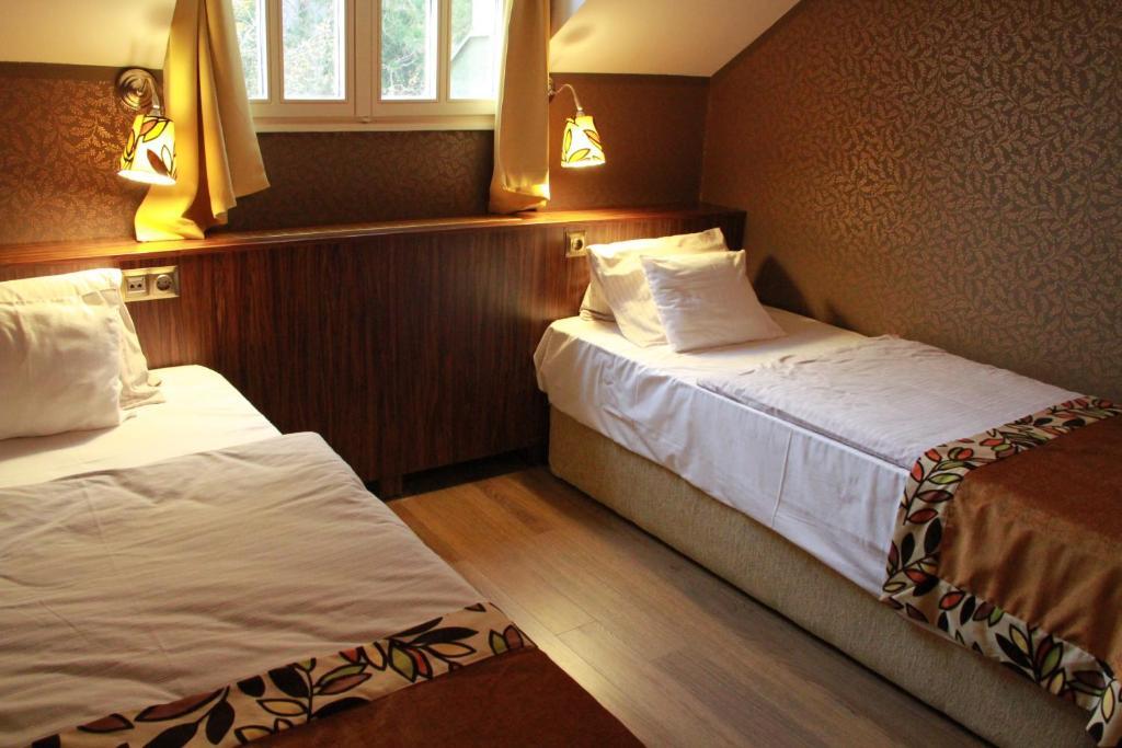 Villa Szekely Leányfalu Rom bilde